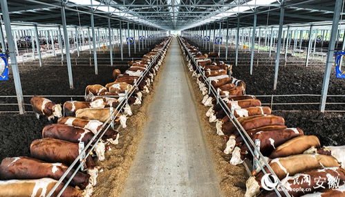 乡村记忆的传承与新生 探访农村民间工艺制品的魅力