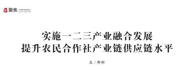 实施一二三产业融合发展 提升农民合作社产业链供应链水平——以农村民间工艺制品为例